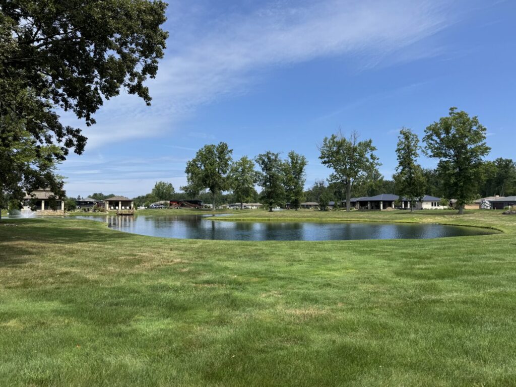 Photo of Lot 73